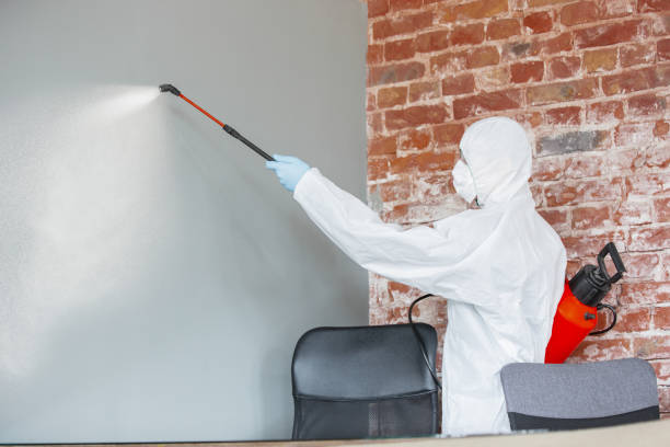 Best Post-Remediation Verification Testing  in Dixon, IL