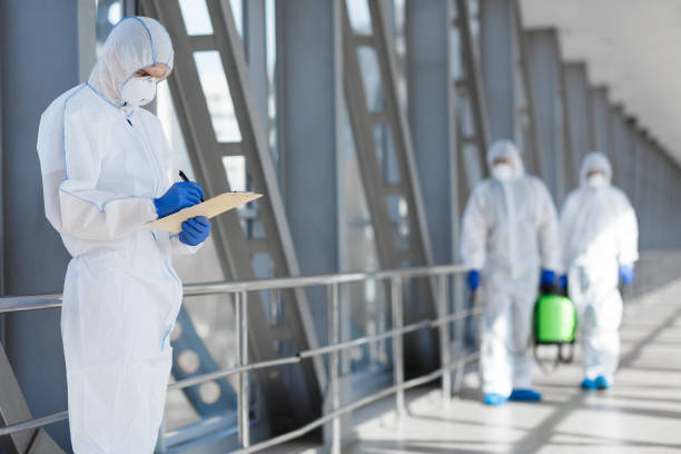 Best Black Mold Removal  in Dixon, IL