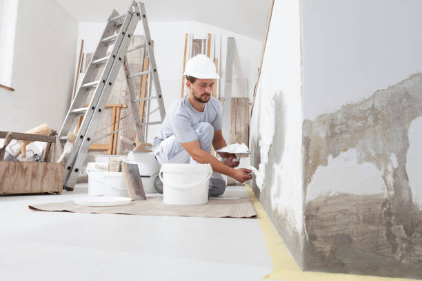 Best Asbestos and Lead Testing During Mold Inspection  in Dixon, IL