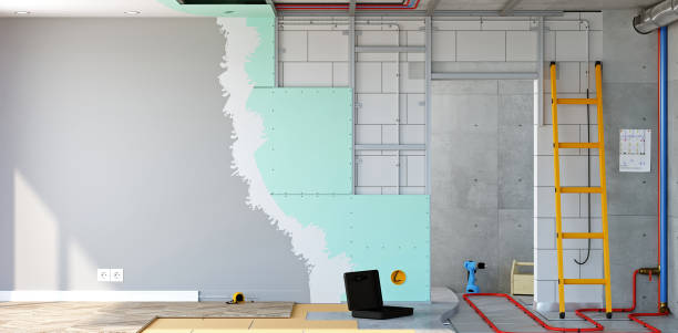 Best Mold Damage Restoration  in Dixon, IL