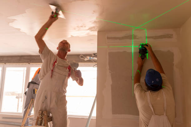 Best Commercial Mold Inspection  in Dixon, IL