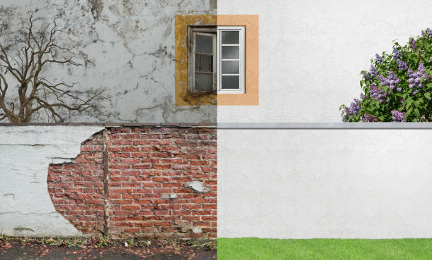 Professional Mold Removal in Dixon, IL