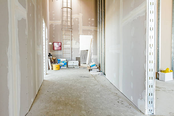 Best Mold Remediation for Healthcare Facilities  in Dixon, IL