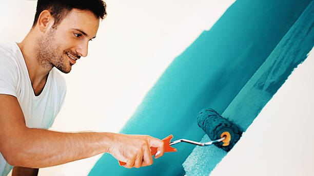 Best Attic Mold Removal  in Dixon, IL