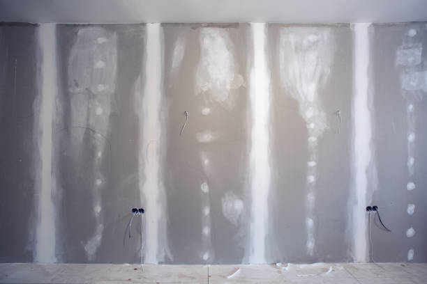 Best Biohazard Mold Removal  in Dixon, IL
